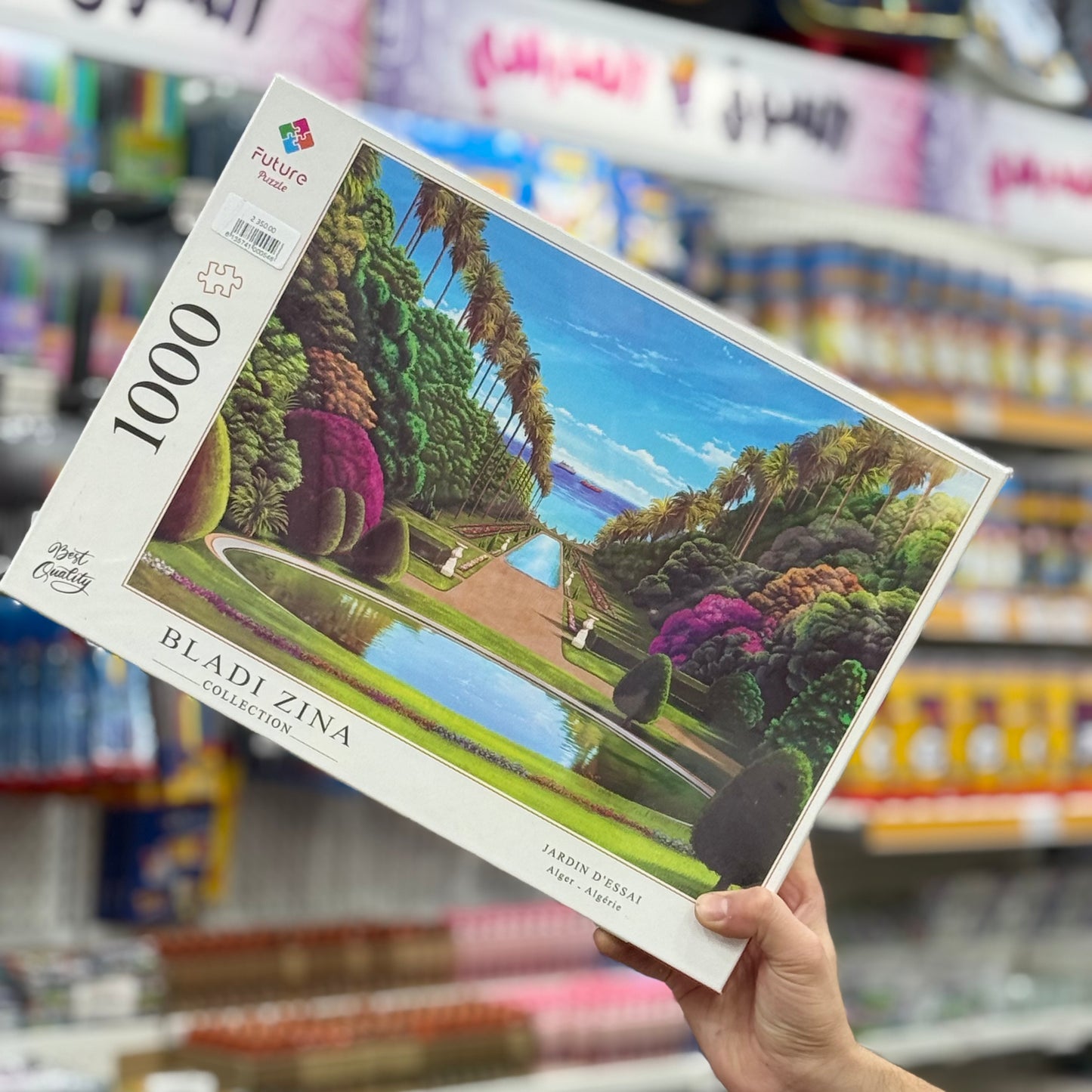 Puzzle 1000 pièces