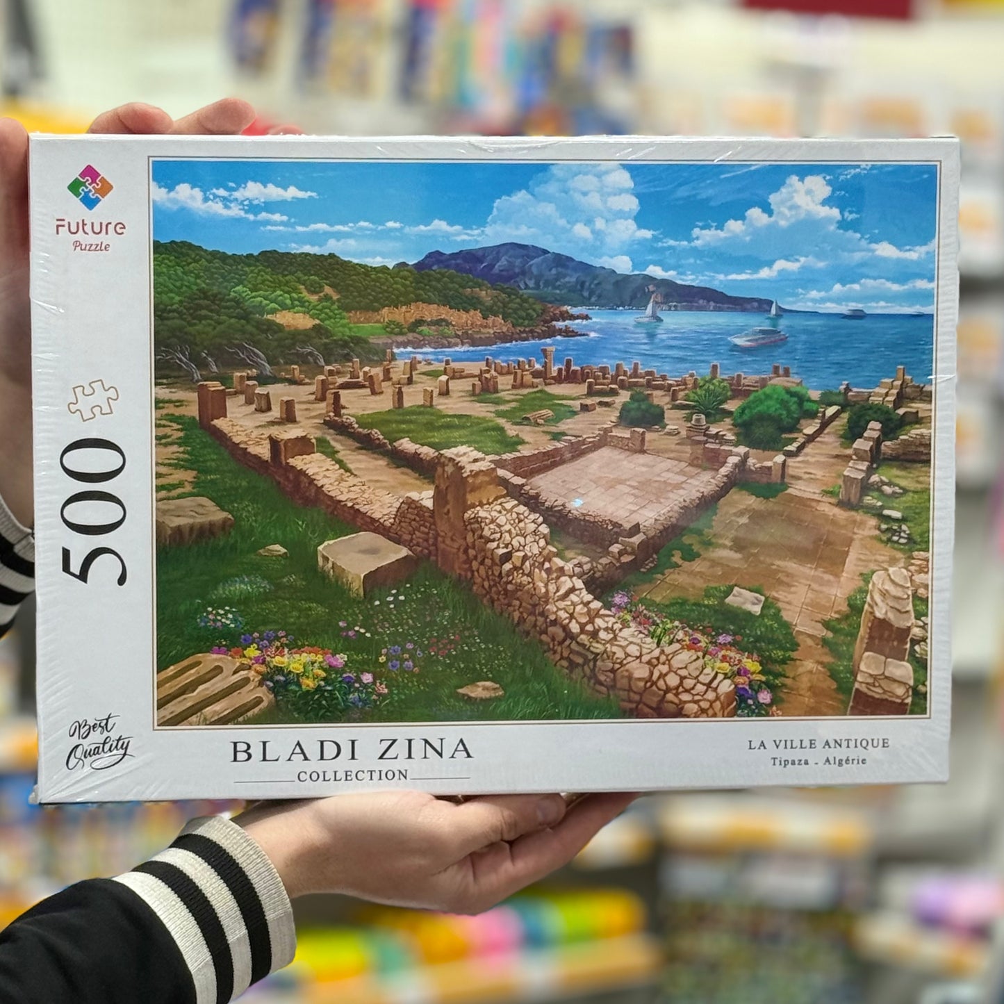 Puzzle 500 pièces