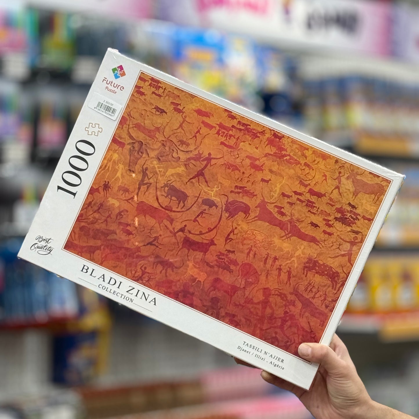 Puzzle 1000 pièces