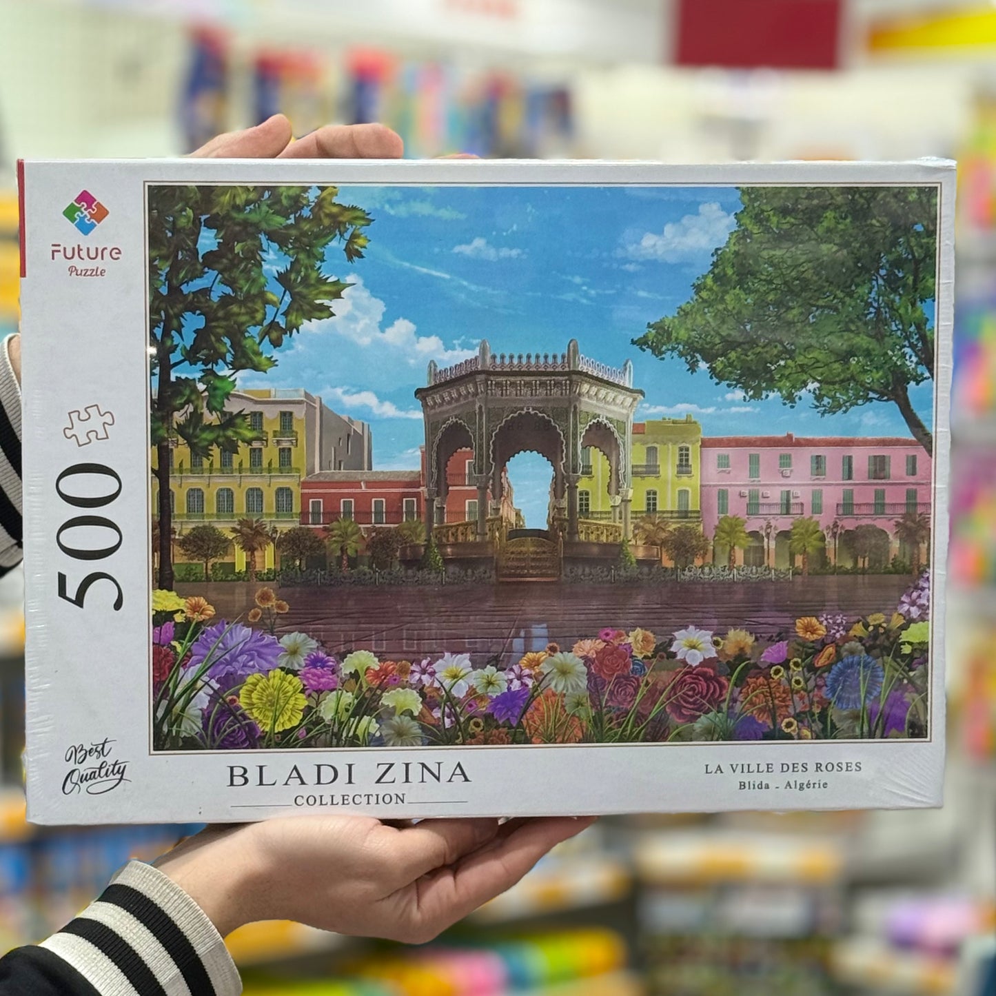 Puzzle 500 pièces
