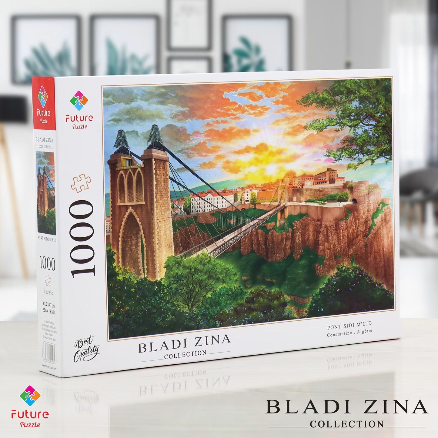 Puzzle 1000 pièces
